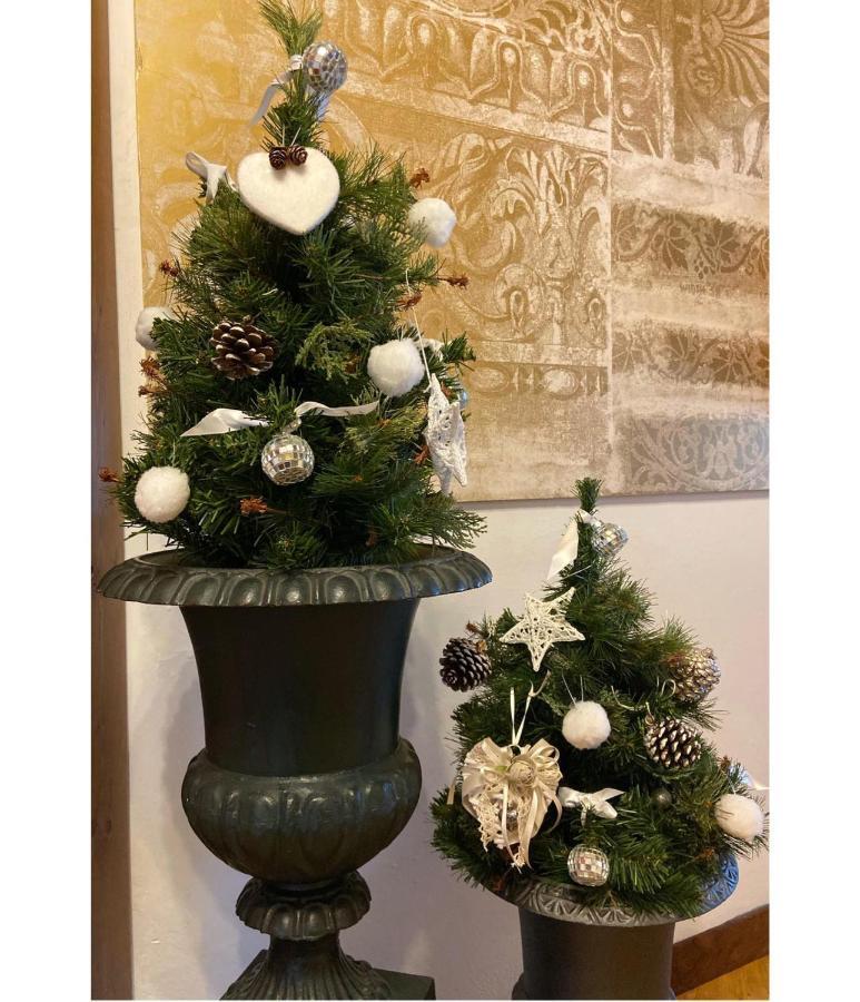 Hotel Garni Cavento Pinzolo